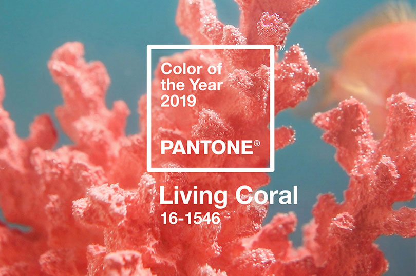 Pantone χρώμα 2019